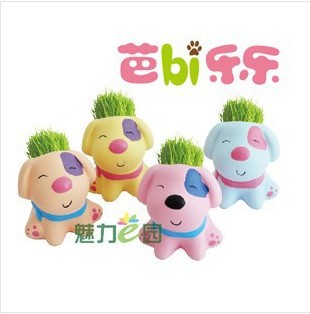 創意禮品綠植盆栽（芭比樂樂小狗草頭娃娃批發)工廠,批發,進口,代購