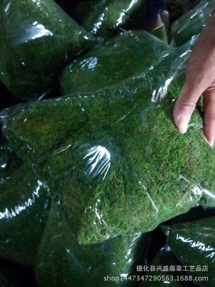 興盛 優質苔蘚 苔草 插花輔料仿真植物傢居裝飾擺設水苔工廠,批發,進口,代購