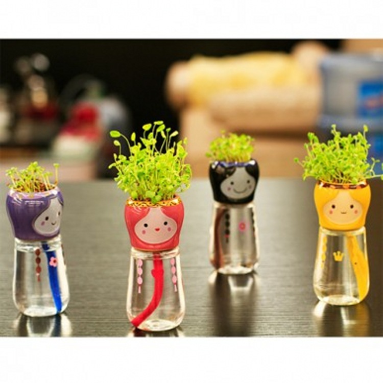 正品 桌麵迷你盆栽 泡泡妞個性可愛尾巴吸水植物栽培 DIY工廠,批發,進口,代購