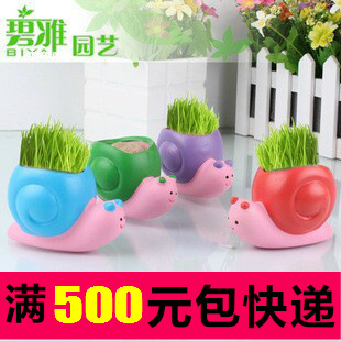 蝸牛草娃娃盆栽/迷你植物陶瓷盆景盆栽/辦公室地攤工廠,批發,進口,代購