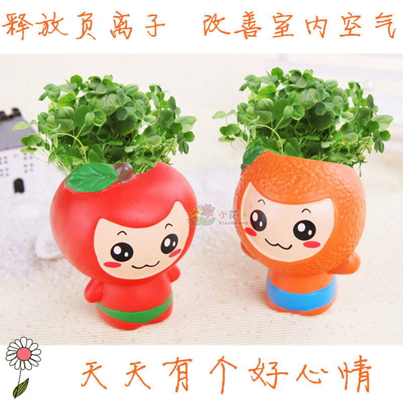 diy防輻射耐寒桌麵微型盆栽-水果 陶瓷禮品草頭娃娃迷你植物盆景工廠,批發,進口,代購