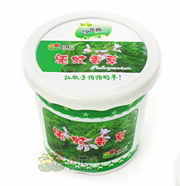 美嘉-hqs 小花迷DIY花卉種植 時尚園藝種草子/傢庭可愛草 0.065kg工廠,批發,進口,代購