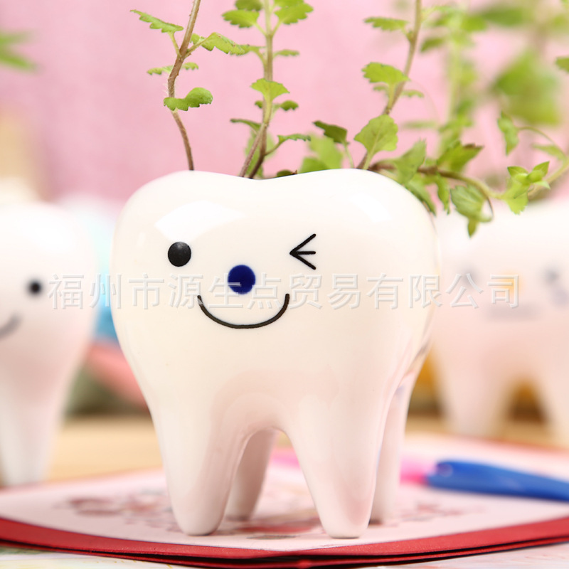 6月新品Tooth Green芽牙 桌麵香草小盆栽批發 尾巴吸水萌寵動物工廠,批發,進口,代購