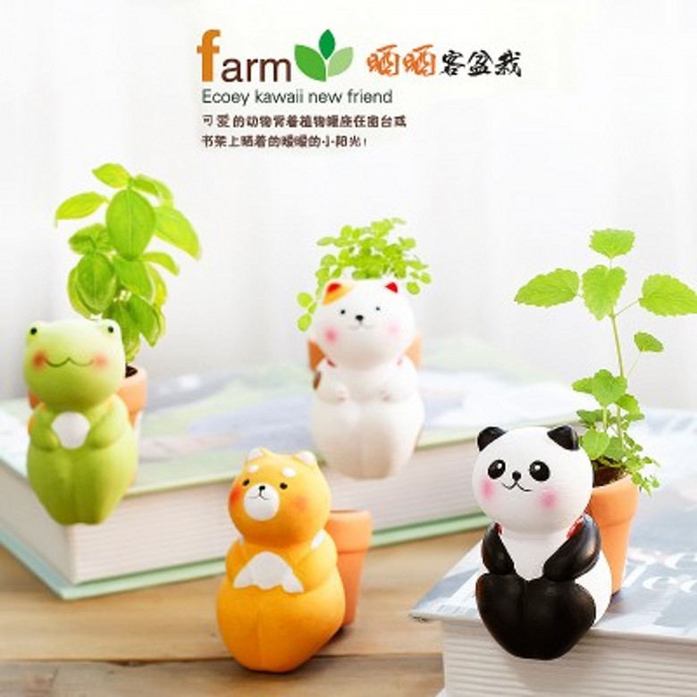 DIY創意可愛陶瓷擺件 創意迷你吸水綠植花卉盆栽（曬曬客）工廠,批發,進口,代購