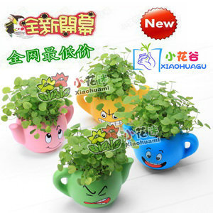 批發草頭娃娃 青草種植（小茶壺）迷你植物 DIY種植 長草的娃娃工廠,批發,進口,代購