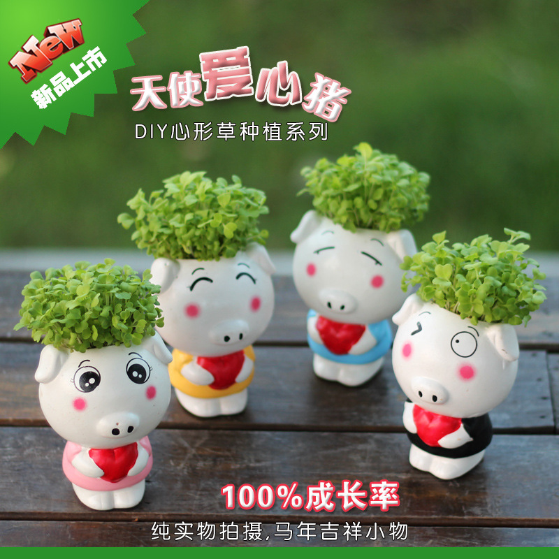 (天使愛心豬) 草娃娃 桌麵創意植栽 創意桌麵擺件 zaka風格工廠,批發,進口,代購