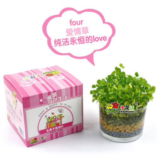 水培植物防輻射陶碳球 圓形（三代負離子植物） 植栽盆栽禮品批發工廠,批發,進口,代購
