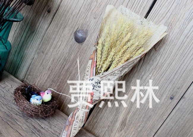 小麥花束  生日禮物 店麵裝飾 乾花批發工廠,批發,進口,代購