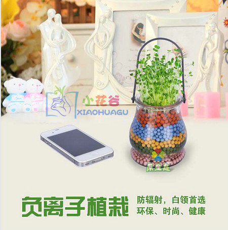 陶碳球（負離子植栽-雙耳）自製親子DIY垂吊盆栽 水培植物 防輻射工廠,批發,進口,代購