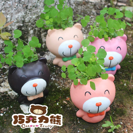 草娃娃桌麵盆栽巧克力熊 創意傢居擺件植物裝飾卡通動漫草娃娃工廠,批發,進口,代購