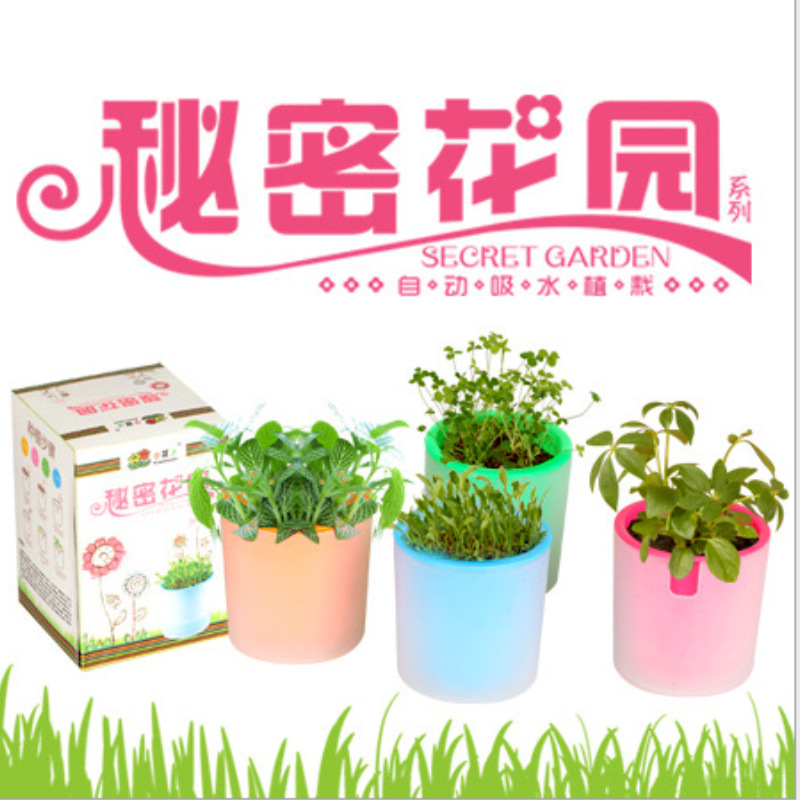 自動吸水桌麵迷你植物小植物秘密花園花店熱銷植物熏衣草百裡香等工廠,批發,進口,代購