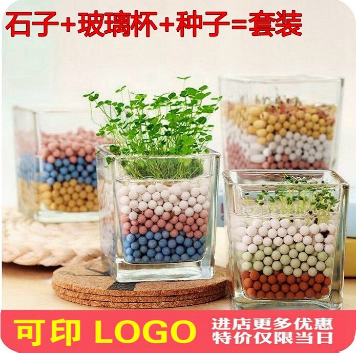 創意diy負離子水培盆栽 辦公室桌麵水培陶碳球防輻射迷你小盆栽工廠,批發,進口,代購