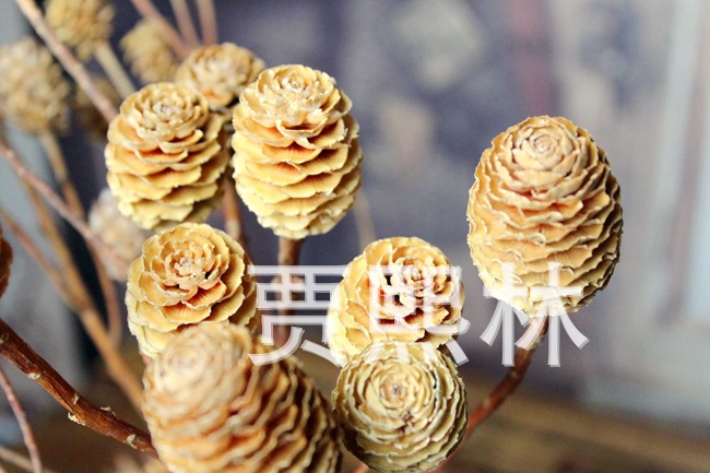 天然 高級永生花花枝 自然風乾 高檔禮品花束花材 松枝工廠,批發,進口,代購