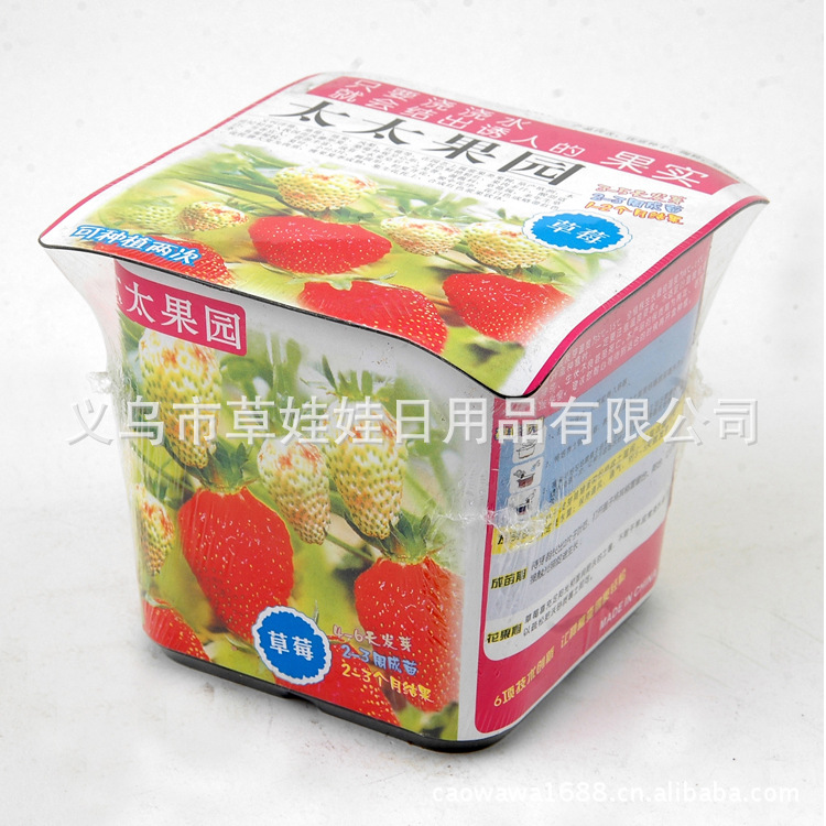 草娃娃 太太果園 媽媽果園 桌麵微型盆栽 迷你植物/創意禮品工廠,批發,進口,代購