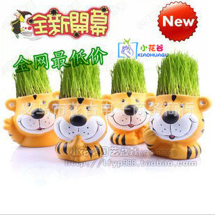 地攤貨源 辦公室迷你植物 魔草青草種植（淘氣虎)草娃娃 盆栽盆栽工廠,批發,進口,代購