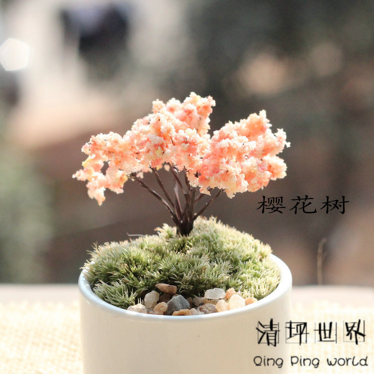 苔蘚微景觀飾品 裝飾造景背景植物（擺件-櫻花樹） DIY材料批發工廠,批發,進口,代購