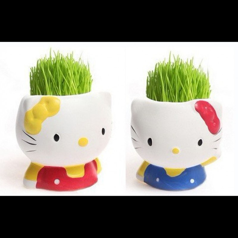 供應可愛HELLO KITTY陶瓷草娃娃 創意迷你園藝 防輻射植物禮品工廠,批發,進口,代購