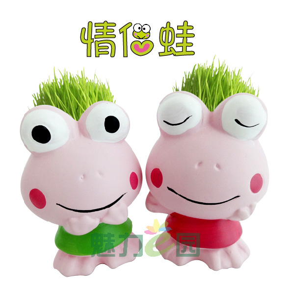 (2款青蛙） 草頭娃娃批發桌麵植物栽培芹菜種植草娃娃工廠,批發,進口,代購