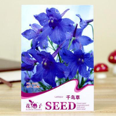 彩包觀花種子-/耐寒 春播/盆栽花卉/陽臺盆栽栽培容易 千鳥草種子工廠,批發,進口,代購