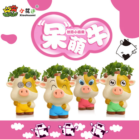 呆萌牛草頭娃娃辦DIY公室植物迷你小盆栽桌麵防輻射地攤貨源批發工廠,批發,進口,代購