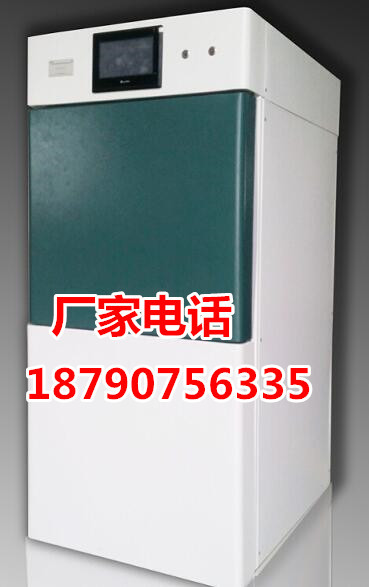 過氧化氫低溫等離子滅菌器100L 等離子醫用低溫快速滅菌櫃智能型批發・進口・工廠・代買・代購