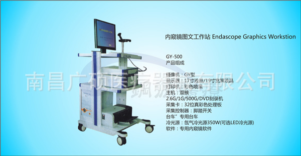 內窺鏡圖文工作站F-500  F-700工廠,批發,進口,代購