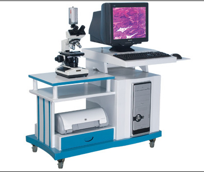 精子分析機 精子質量分析機系統 精子畸形分析機 精子密度檢測工廠,批發,進口,代購
