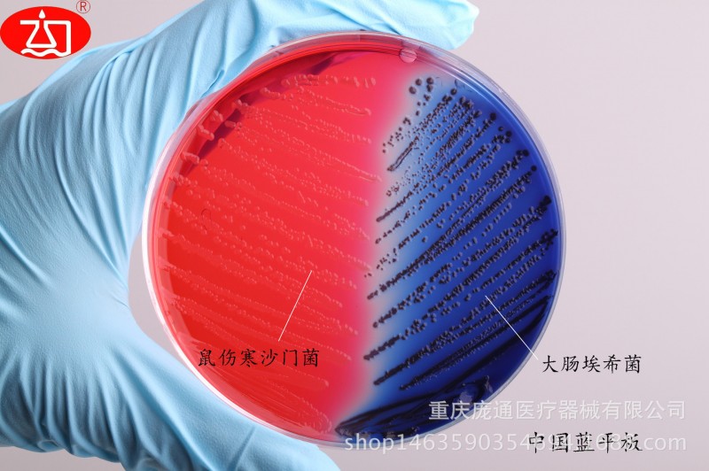 微生物檢測中國藍平板/腸道標本 成品培養基/ 一次性醫用耗材工廠,批發,進口,代購