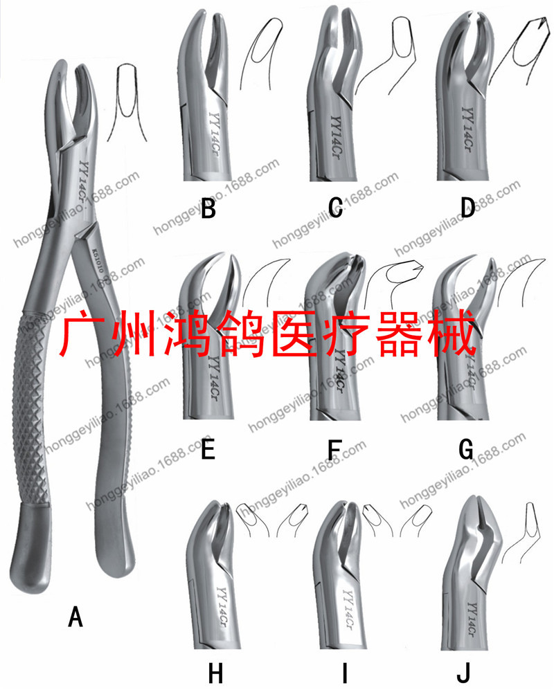 上海金鐘成人拔牙鉗各型號牙科器械耗材Tooth Forceps for Adult工廠,批發,進口,代購