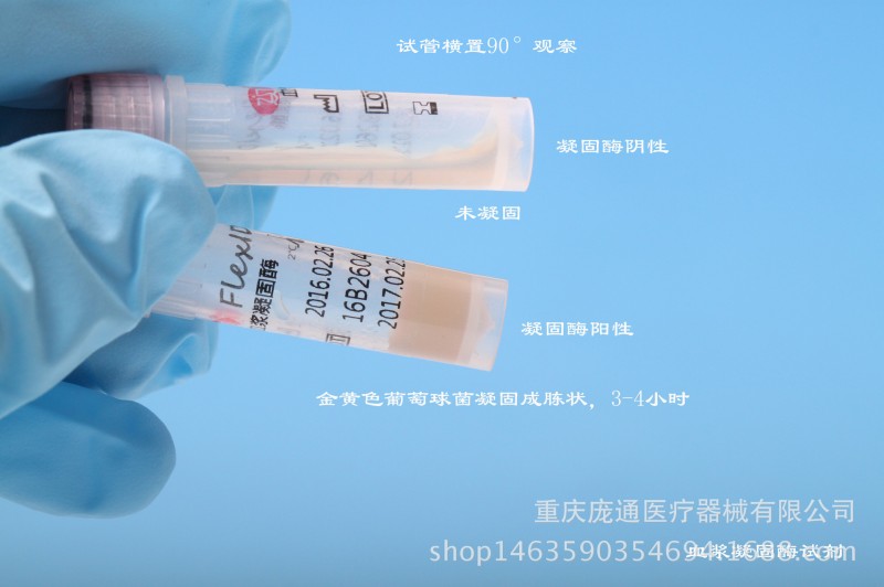 血漿凝固酶試劑/ 金葡菌鑒定試劑/ 微生物鑒定試劑工廠,批發,進口,代購