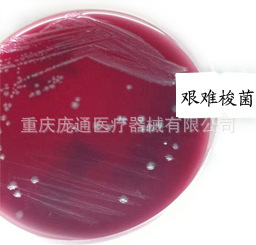 佈魯氏菌血瓊脂培養基（BBA）/ 成品培養基/ 微生物培養基工廠,批發,進口,代購