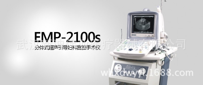 EMP-2100s    分體式超聲引導婦科宮腔手術機 價電議065工廠,批發,進口,代購