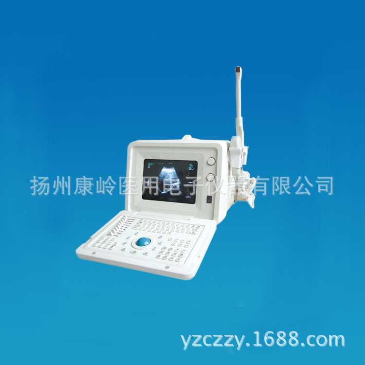 揚州康嶺B超廠傢 KL-2290B型超聲診斷機（液晶屏）工廠,批發,進口,代購