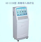 藥物導入熱療機GZ-IIID工廠,批發,進口,代購