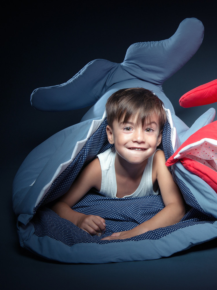 巨型鯊魚來襲西班牙鯊魚兒童幼兒園睡袋空調防踢被超大款批發・進口・工廠・代買・代購