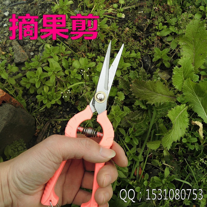 高檔花剪修枝剪樹枝剪刀園藝剪刀粗枝剪園林剪果樹剪摘水果剪刀工廠,批發,進口,代購