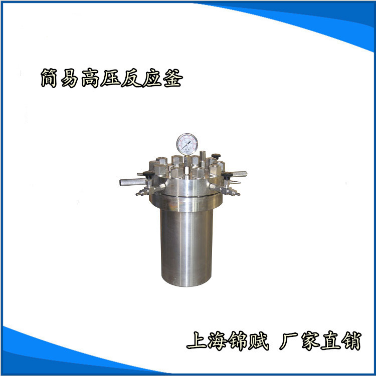 CF型簡易不銹鋼高壓釜0.025L -20L工廠,批發,進口,代購