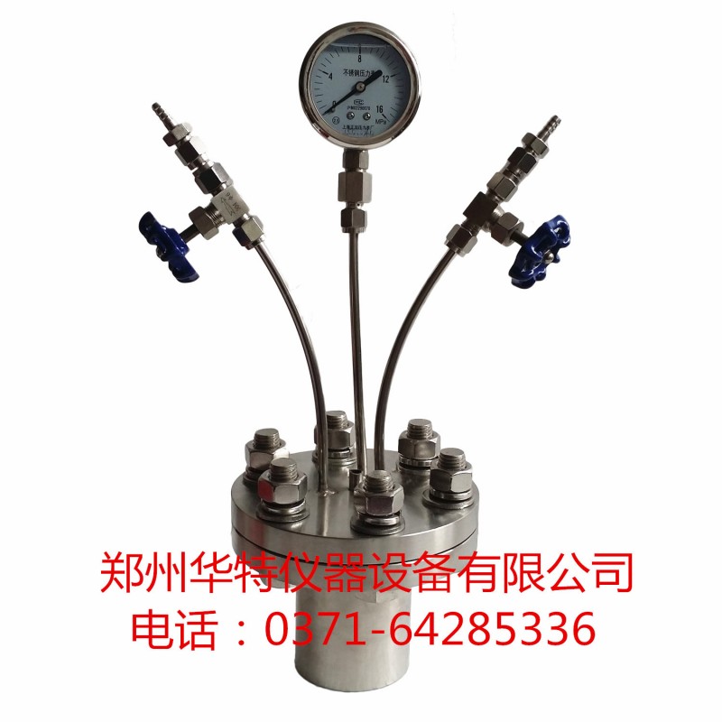 簡易不銹鋼高壓釜CF-0.2L 200ml高壓釜 壓力容器 可定做高壓釜工廠,批發,進口,代購