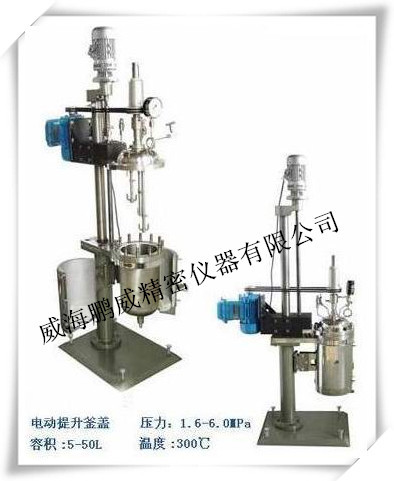 供應、電加熱反應釜0.5L/1L/2L3L5L 反應釜 實驗反應釜 化工反應工廠,批發,進口,代購