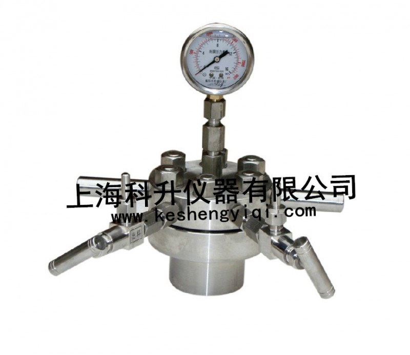 簡易不銹鋼高壓反應釜CF-0.025L  0.05L高壓釜 水熱合成釜工廠,批發,進口,代購