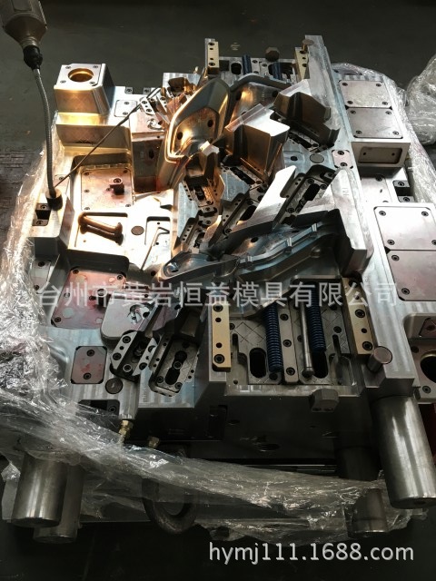 搖擺椅 沙灘椅塑料模具 健身器註塑模 運動器材模具 臺州模具hymj工廠,批發,進口,代購