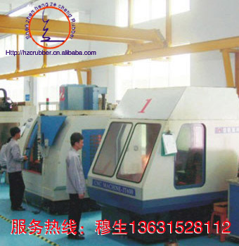 廣州市荔灣區批發藥廠專用耐磨損丁基橡膠模具加工工廠,批發,進口,代購