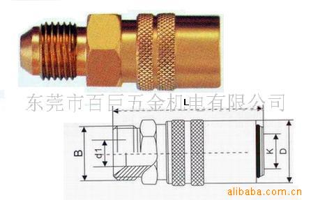 供應喇叭口快速接頭，模具快速接頭，美式模具用快速接頭工廠,批發,進口,代購