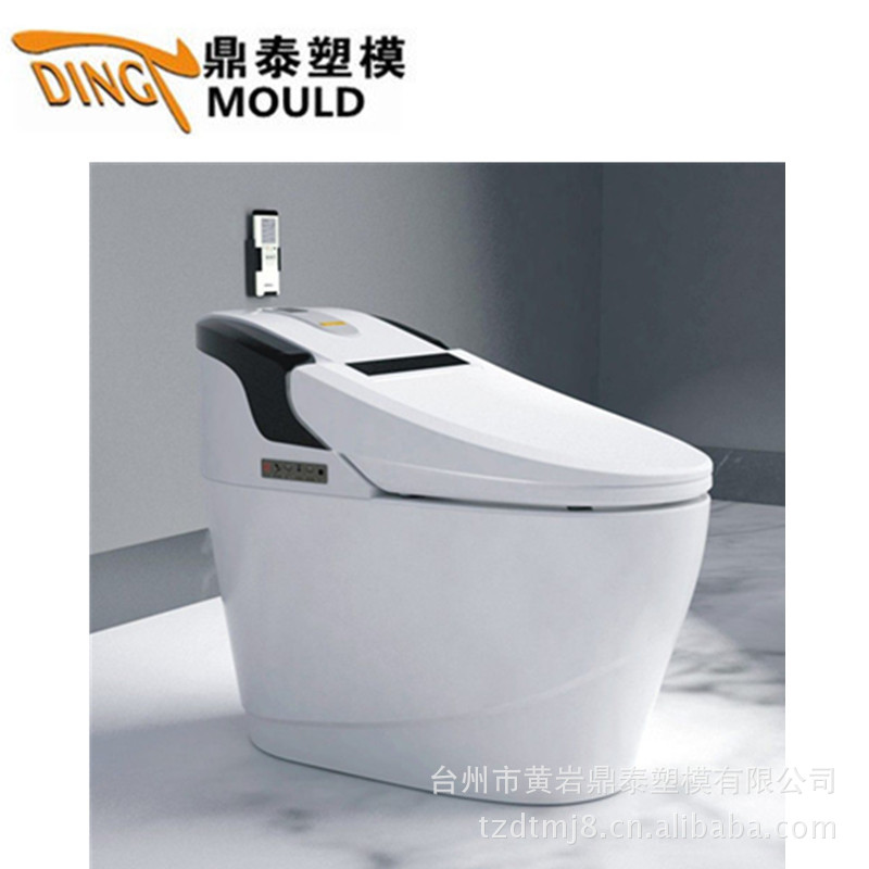 專業智能馬桶模具加工定製工廠,批發,進口,代購