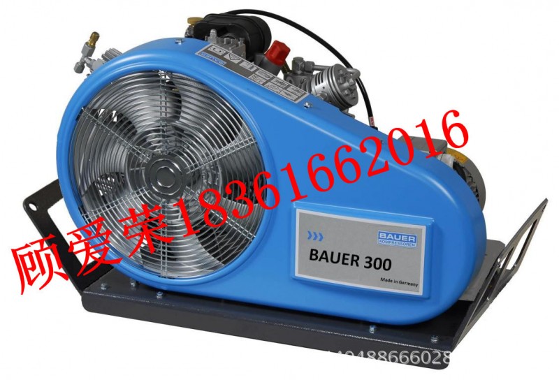 BAUER300寶華高壓壓縮機 正壓空氣呼吸器充氣泵 德國寶華原裝進口批發・進口・工廠・代買・代購