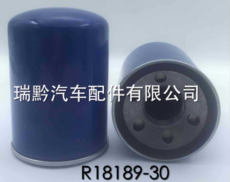 R18189-30加油機濾芯工廠,批發,進口,代購