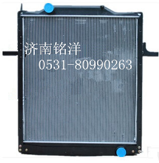 一汽青島解放新大威水箱散熱器型號1301010-Q851工廠,批發,進口,代購