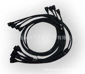 VAG 058 905 409 A Ignition Cable工廠,批發,進口,代購