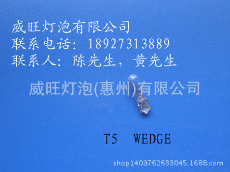 供應T5 WEDGE 炸彈泡、玻插泡、機表燈工廠,批發,進口,代購