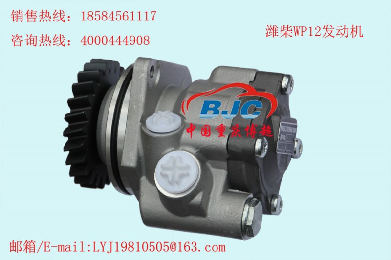 612630030087 濰柴WP12發動機 助力泵Power steering pump工廠,批發,進口,代購